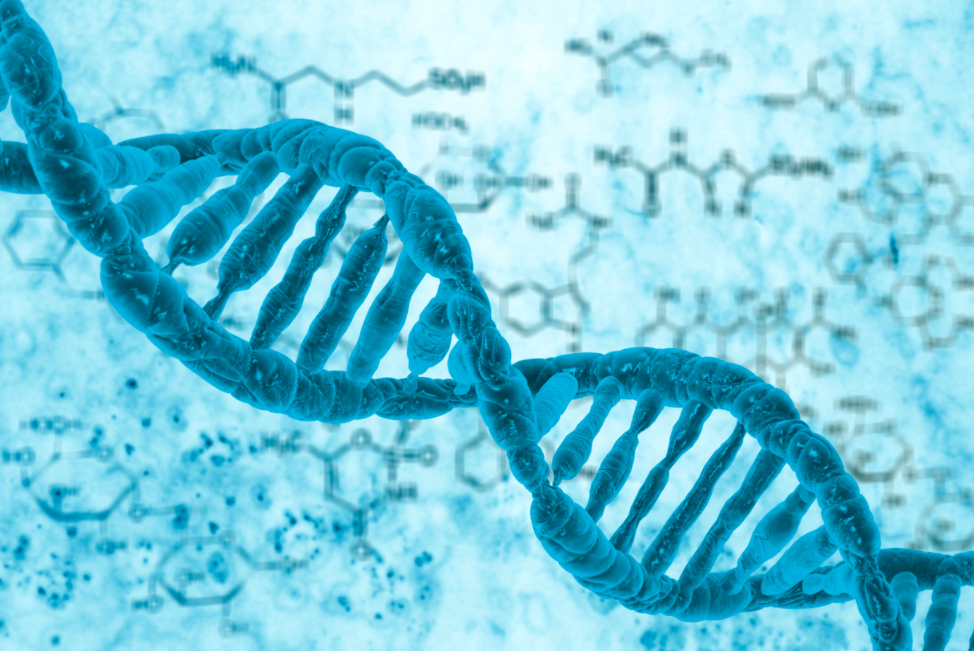 en iyi dna test kitleri