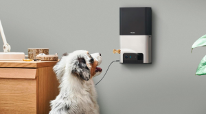 Petcube Kamera