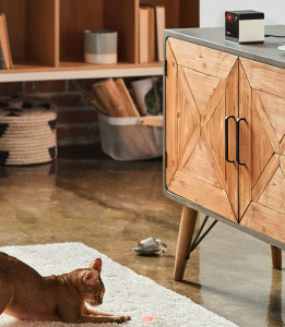 petcube play two