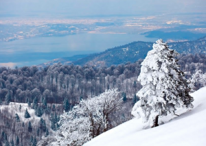 Kocaeli Kartepe