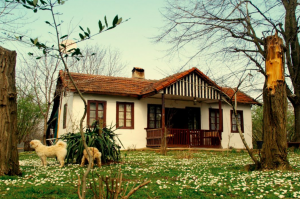 Köy Evleri