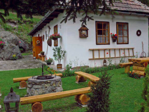 Trabzon Köy Evleri