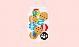 Cookie Nedir?