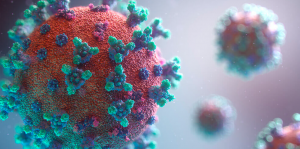 Google Koronavirus Hamlesi